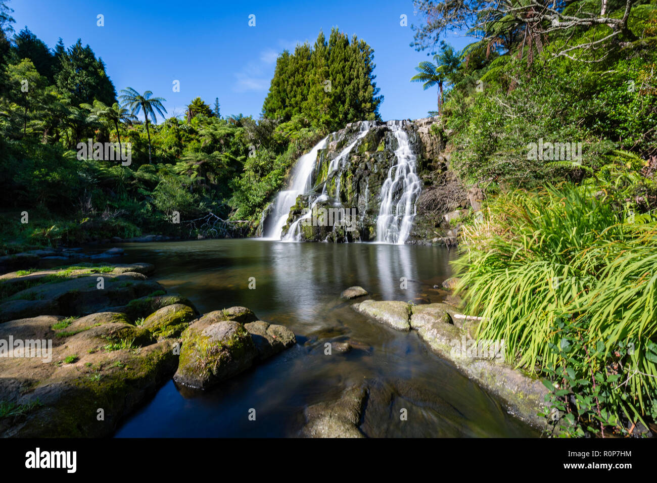 Owharoa magique Falls, péninsule de Coromandel, Nouvelle-Zélande Banque D'Images