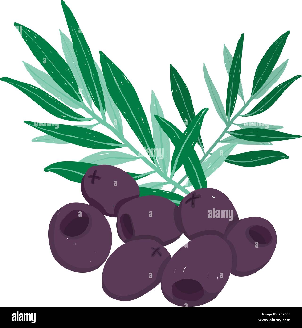 Ensemble pictural vecteur d'olives noires et vertes ; Direction générale de l'illustration, modifiable et évolutif isolé sur un fond blanc. L'utiliser pour des recettes, restaura Illustration de Vecteur
