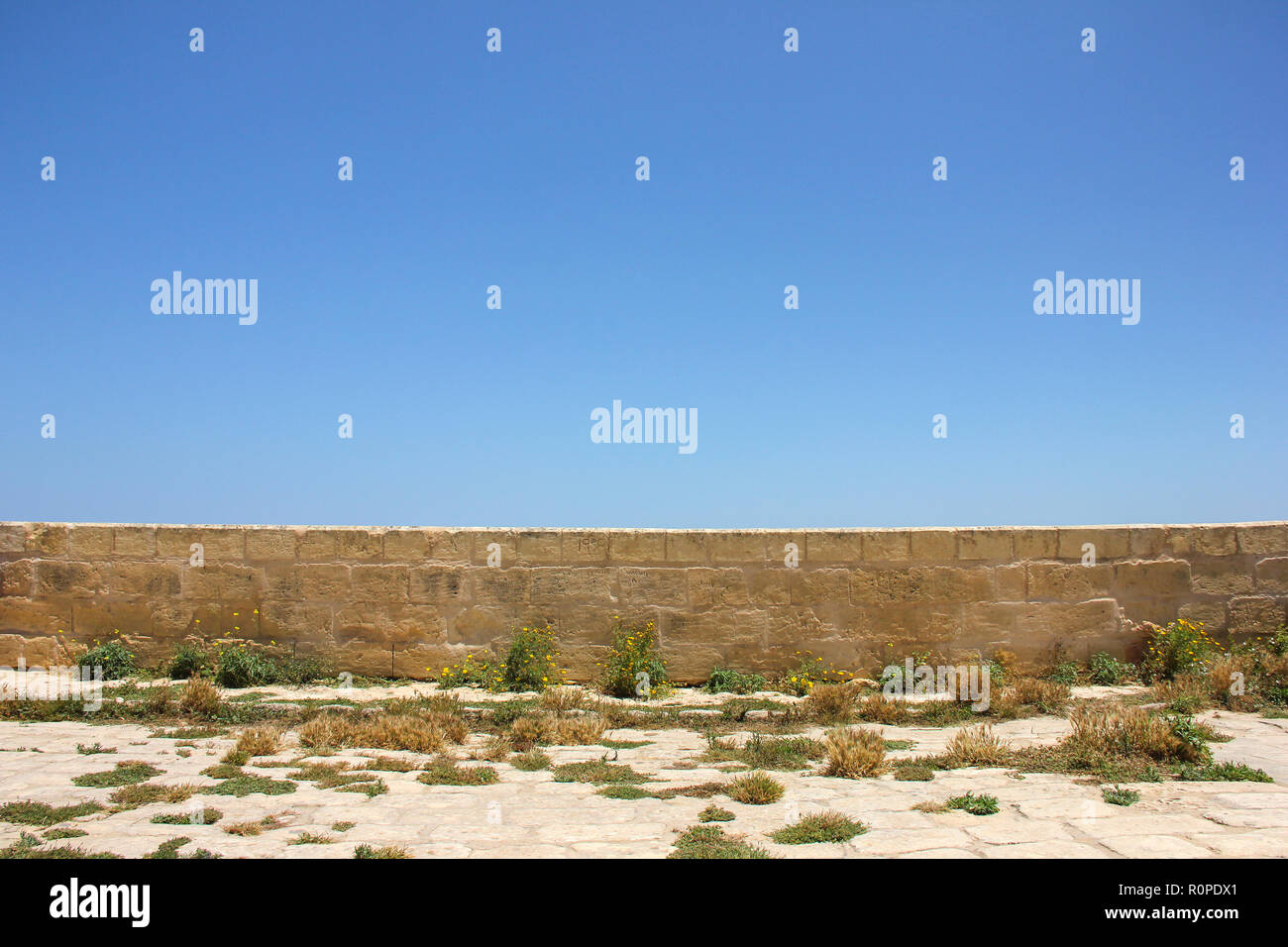 Vieux Mur de brique avec de l'herbe rare et de petites fleurs jaunes sous ciel bleu sans nuage Banque D'Images