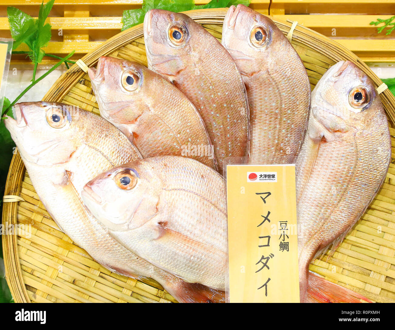 (181107) -- SHANGHAI, le 7 novembre 2018 (Xinhua) -- Photo prise le 7 novembre 2018 montre les fruits de mer du Japon à l'Alimentation et des produits agricoles au cours de la première zone d'importation chinois International Expo (CIEE) à Shanghai, à l'est de la Chine. Divers L'alimentation provenant du monde entier sont exposées dans le CIEE. (Xinhua/Liu Dawei)(zyd) Banque D'Images