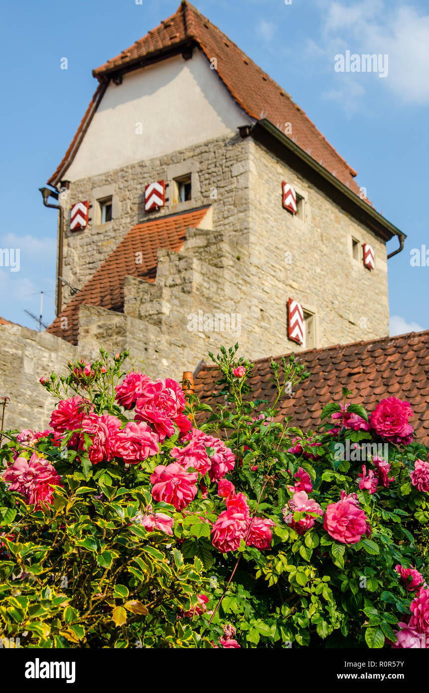 Sommerhausen est situé dans la magnifique Vallée, au sud de Würzburg, à seulement quelques kilomètres de l'autoroute A3 Frankfurt - Nuremberg. Banque D'Images