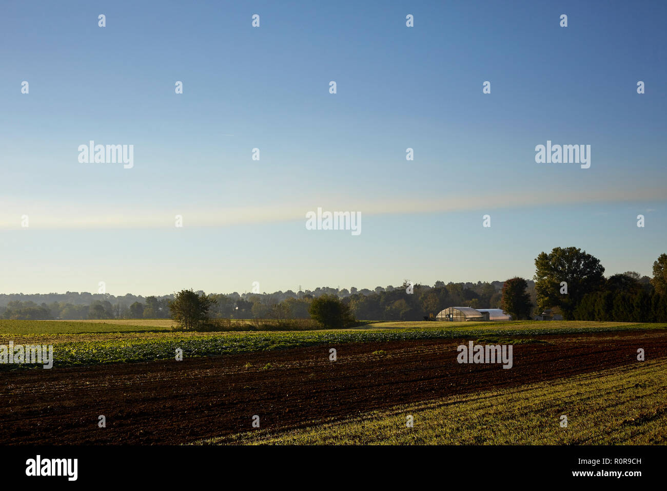 Les champs récoltés avec un cerceau house dans la distance à la fin de l'automne, Amish Country, comté de Lancaster, Pennsylvanie, USA Banque D'Images