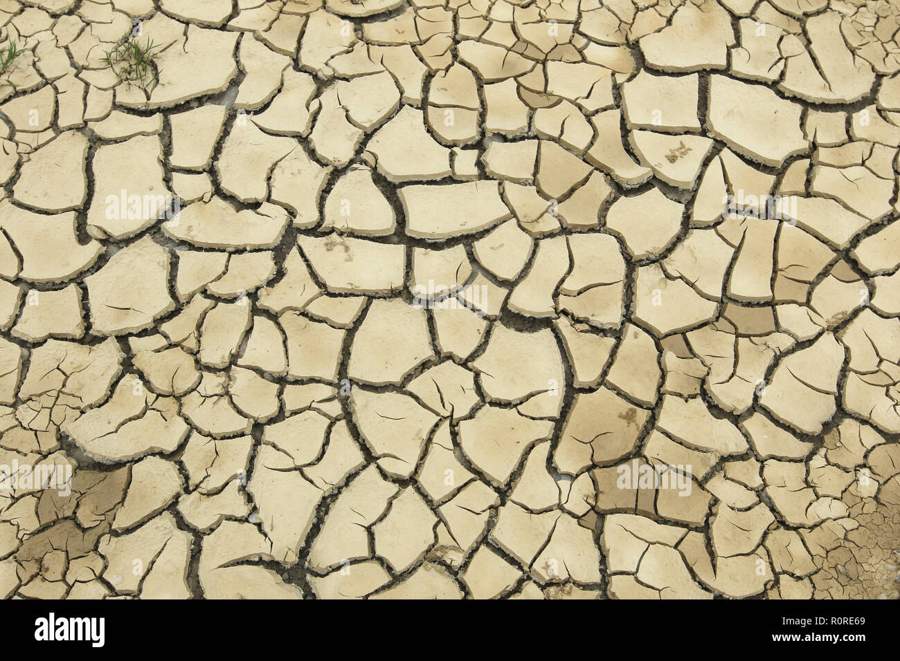Le sol argileux a éclaté en raison de la sécheresse prolongée, image de fond, Allemagne Banque D'Images
