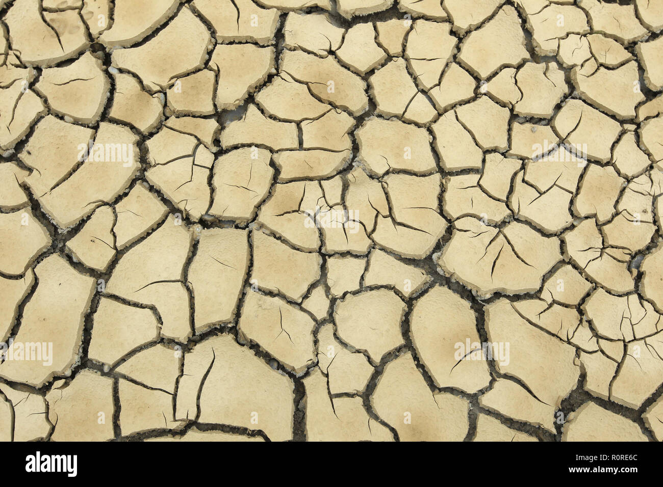 Le sol argileux a éclaté en raison de la sécheresse prolongée, image de fond, Allemagne Banque D'Images