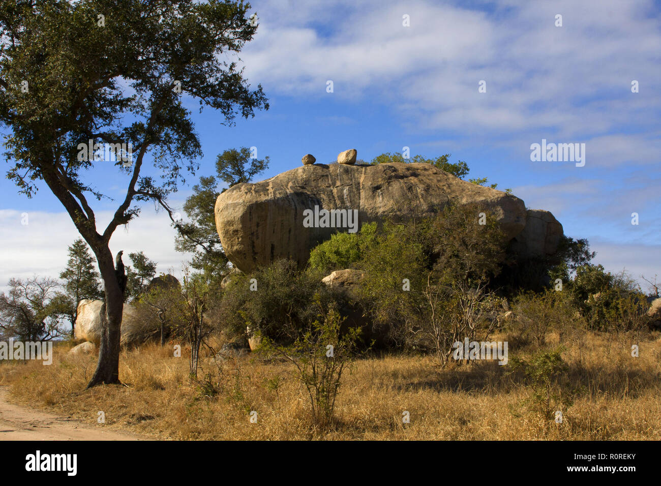 Gros rocher en Kruger National Park Banque D'Images