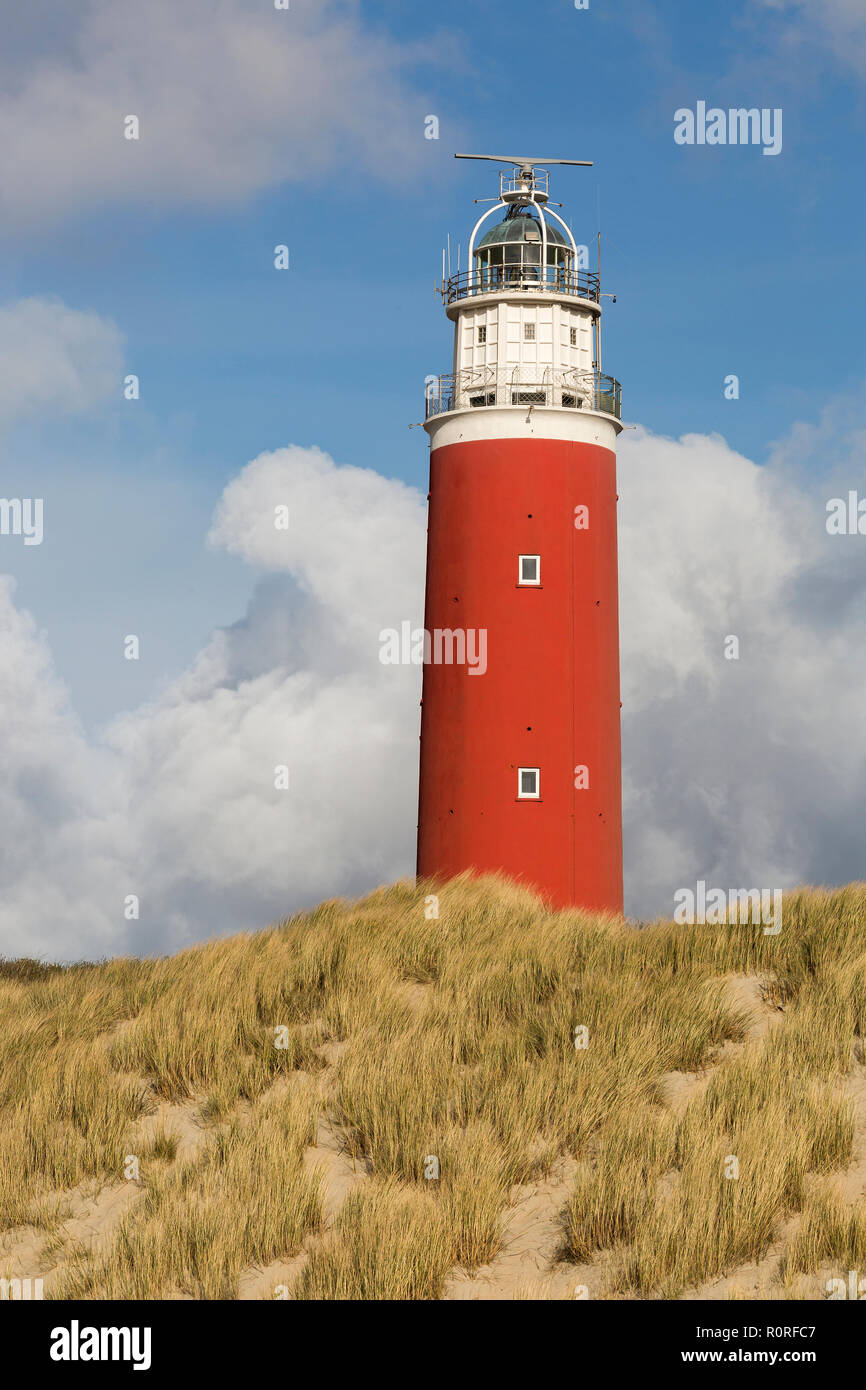 Phare rouge sur Dune, Texel, à l'ouest de l'archipel Frison, Province de la Hollande du Nord, Hollande, Pays-Bas Banque D'Images