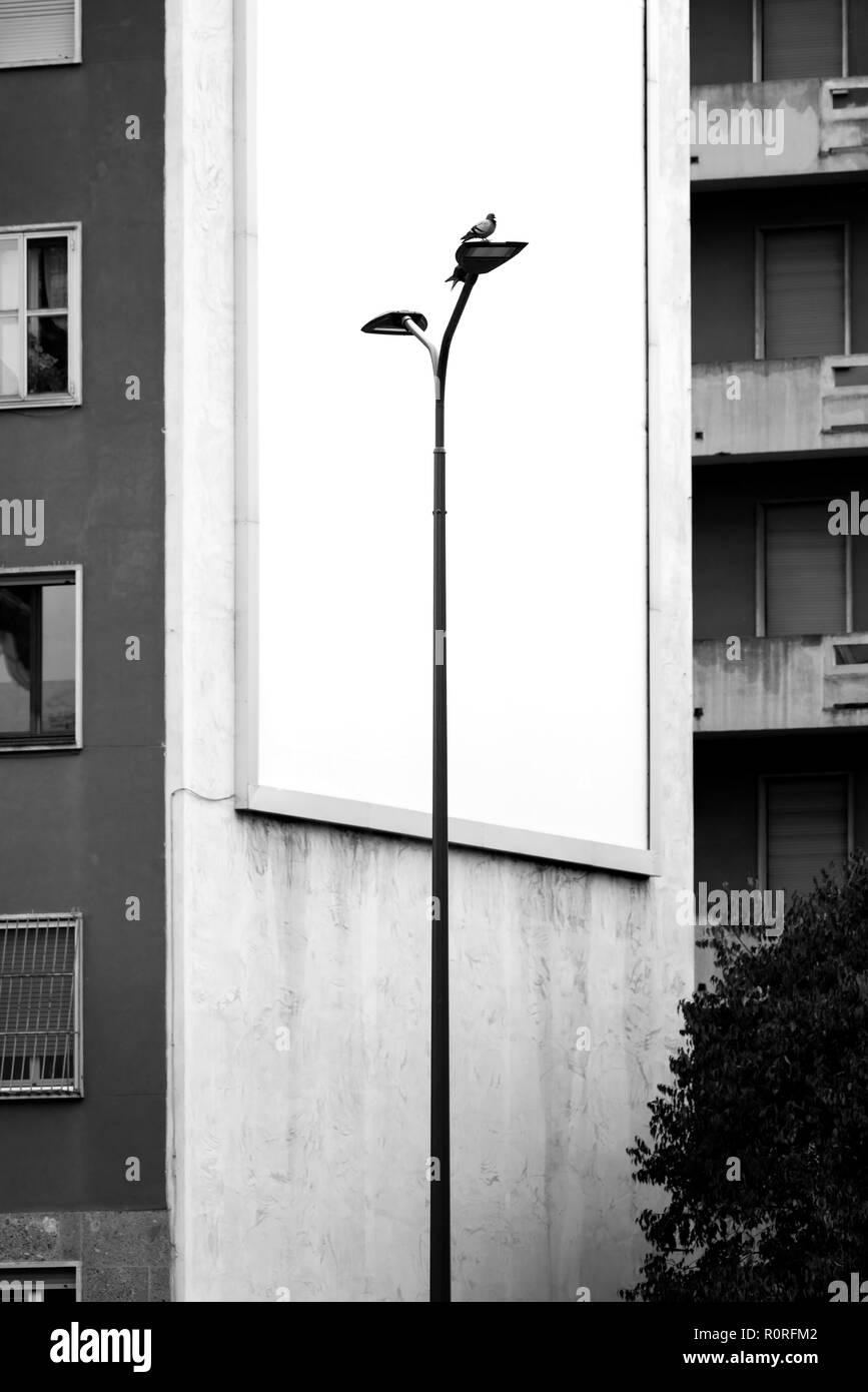 Oiseau sur un lampadaire en face d'un panneau vide sur la façade du palais Banque D'Images
