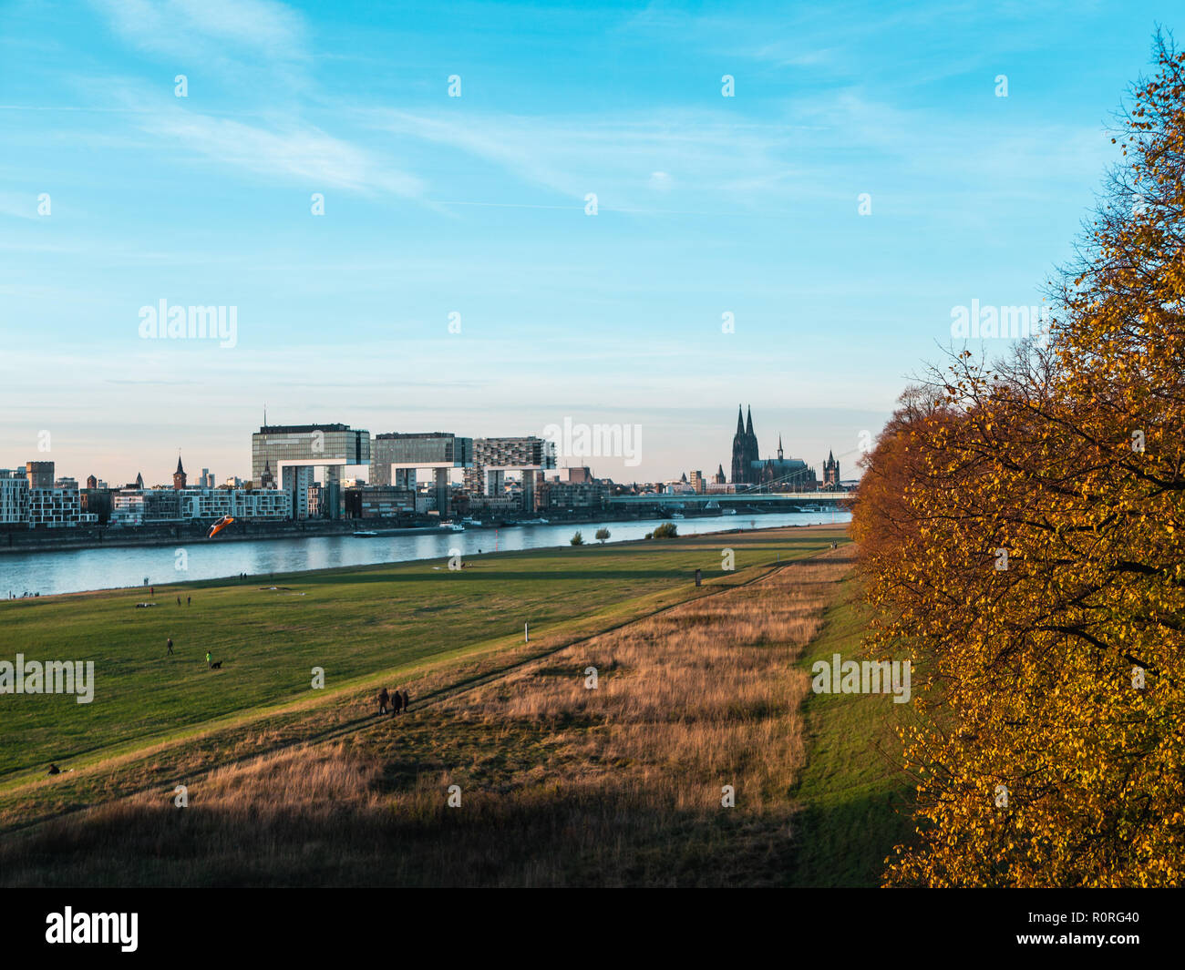 L'automne à Cologne : rues de la région de Cologne, Allemagne avec cathédrale et d'autres repères - Poller Wiesen en premier plan Banque D'Images