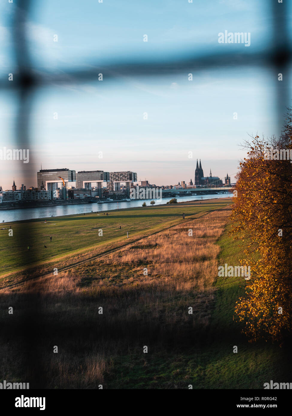 L'automne à Cologne : rues de la région de Cologne, Allemagne avec cathédrale et d'autres repères - Poller Wiesen en premier plan Banque D'Images