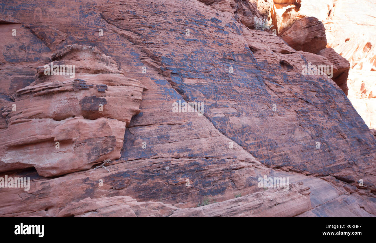 D'anciens pétroglyphes par peuples autochtones d'Amérique comme vu le long de la souris dans le sentier du réservoir le parc national de la Vallée de Feu au Nevada Banque D'Images