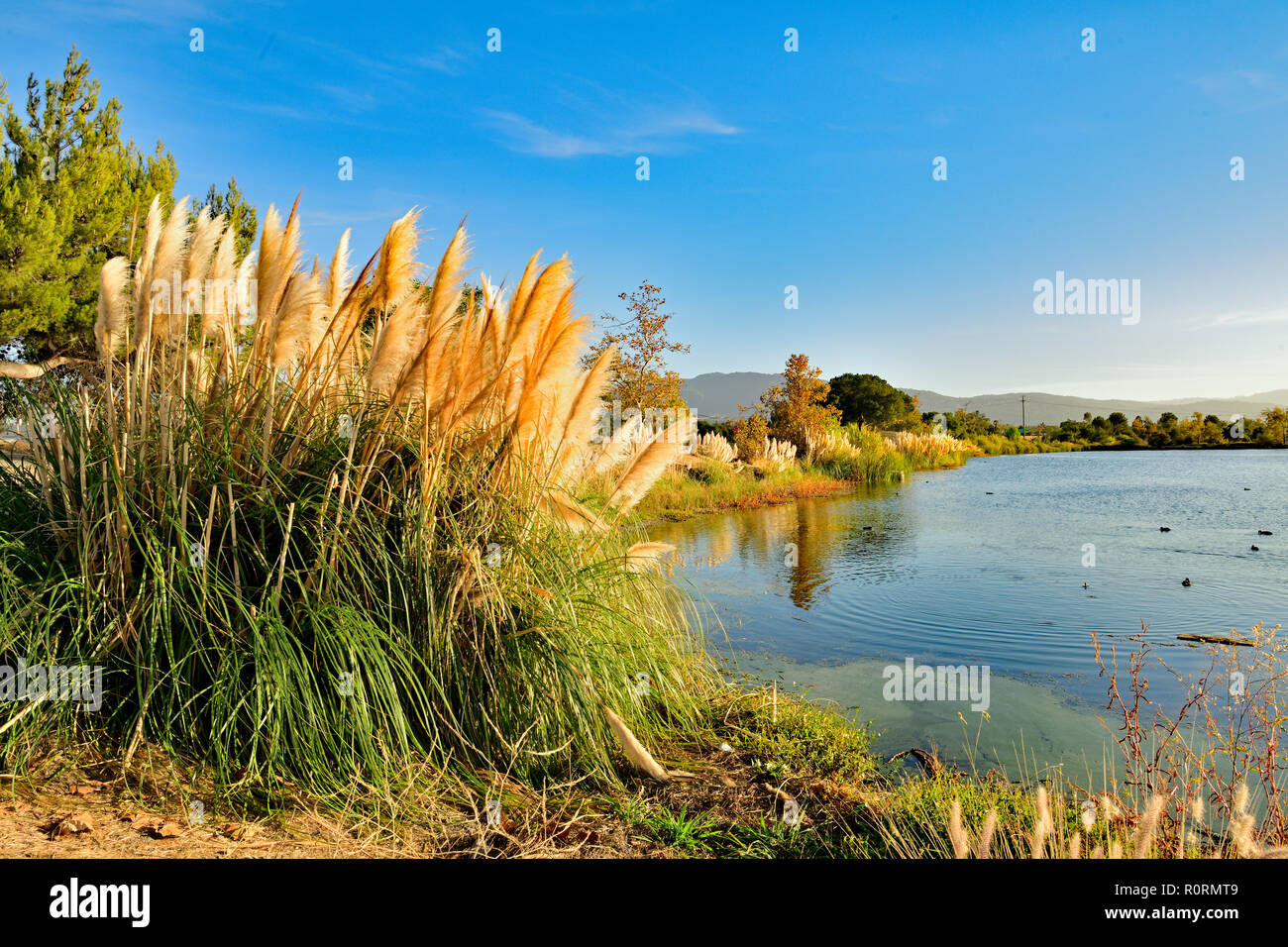 Le lac Los Gatos Banque D'Images
