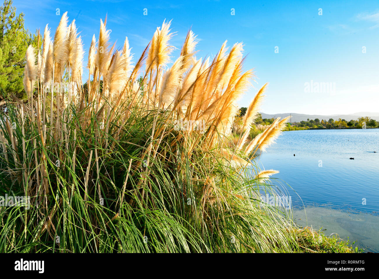 Le lac Los Gatos Banque D'Images