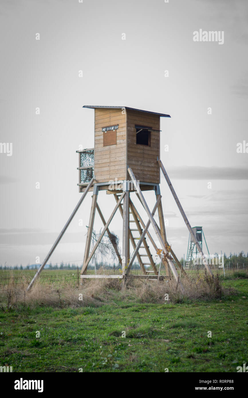 La perche en bois sur un champ vert Banque D'Images
