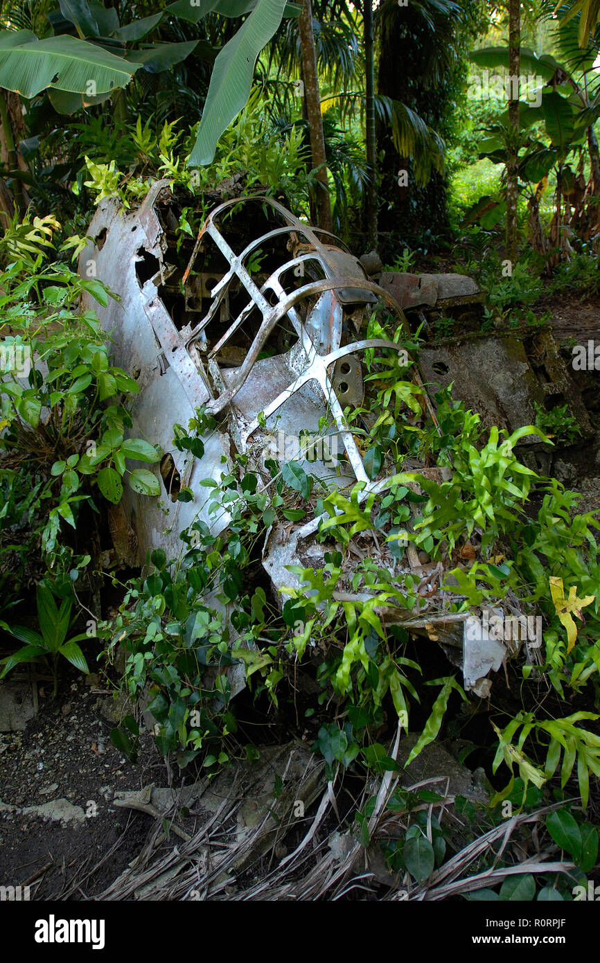 Abgestürztes Kampfflugzeug aus dem zweiten Weltkrieg Im Dschungel verottet, Palaos, Mikronesien | Crashed avion de chasse de la 2e guerre mondial au jungle, Pala Banque D'Images