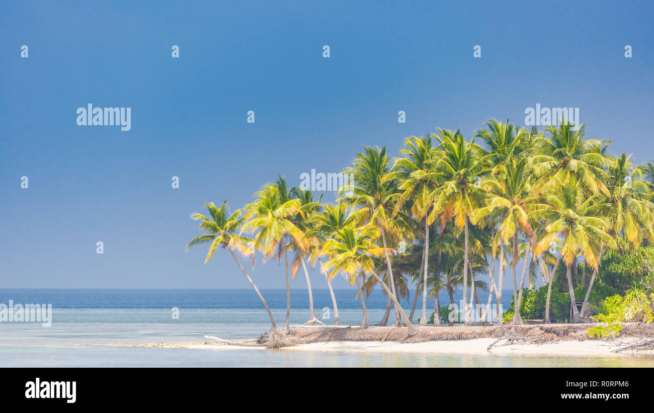 Paysage tranquille, relaxant, un paysage tropical design. Maison de vacances voyage vacances d'été. Destination touristique de luxe. Scène de plage incroyable Banque D'Images