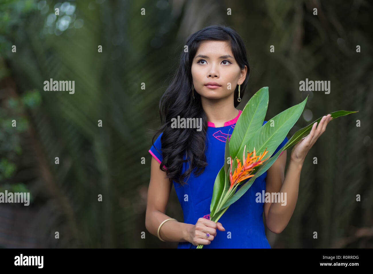 Moitié du corps, tourné d'une très jolie femme vietnamienne en bleu Ao Dai Dress Holding Fleurs orange avec de grosses feuilles en haut. Banque D'Images