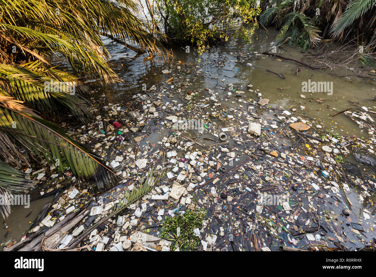 La pollution de l'eau déchets de plastique et d'autres animaux flottant dans la rivière Chao Phraya à Bangkok, Thaïlande Banque D'Images