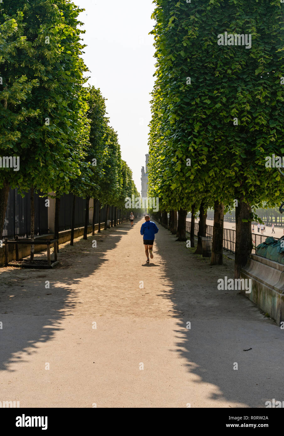Les joggeurs courant le long d'une avenue ombragée d'arbres dans les jardins des Tuileries, Paris, France Banque D'Images