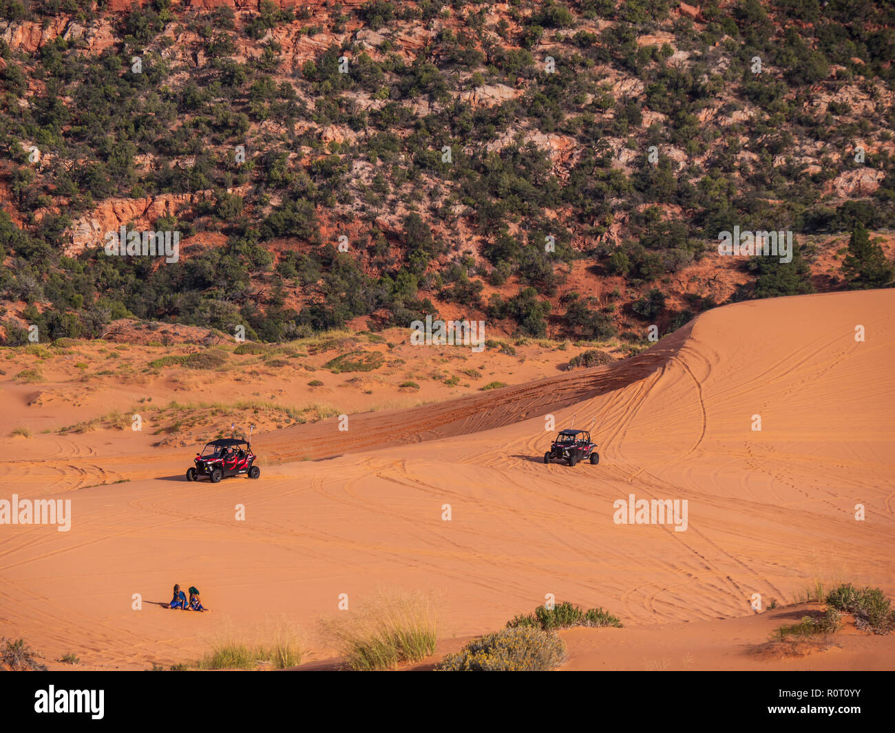 Les VTT sur les dunes, Coral Pink Sand Dunes State Park, Kanab, Utah. Banque D'Images