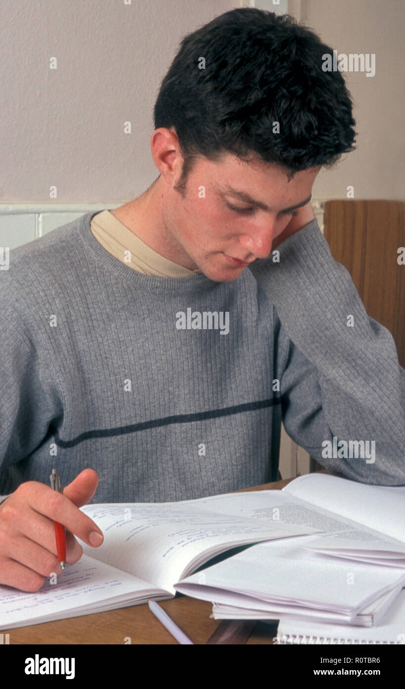 Teenage boy doing homework Banque D'Images