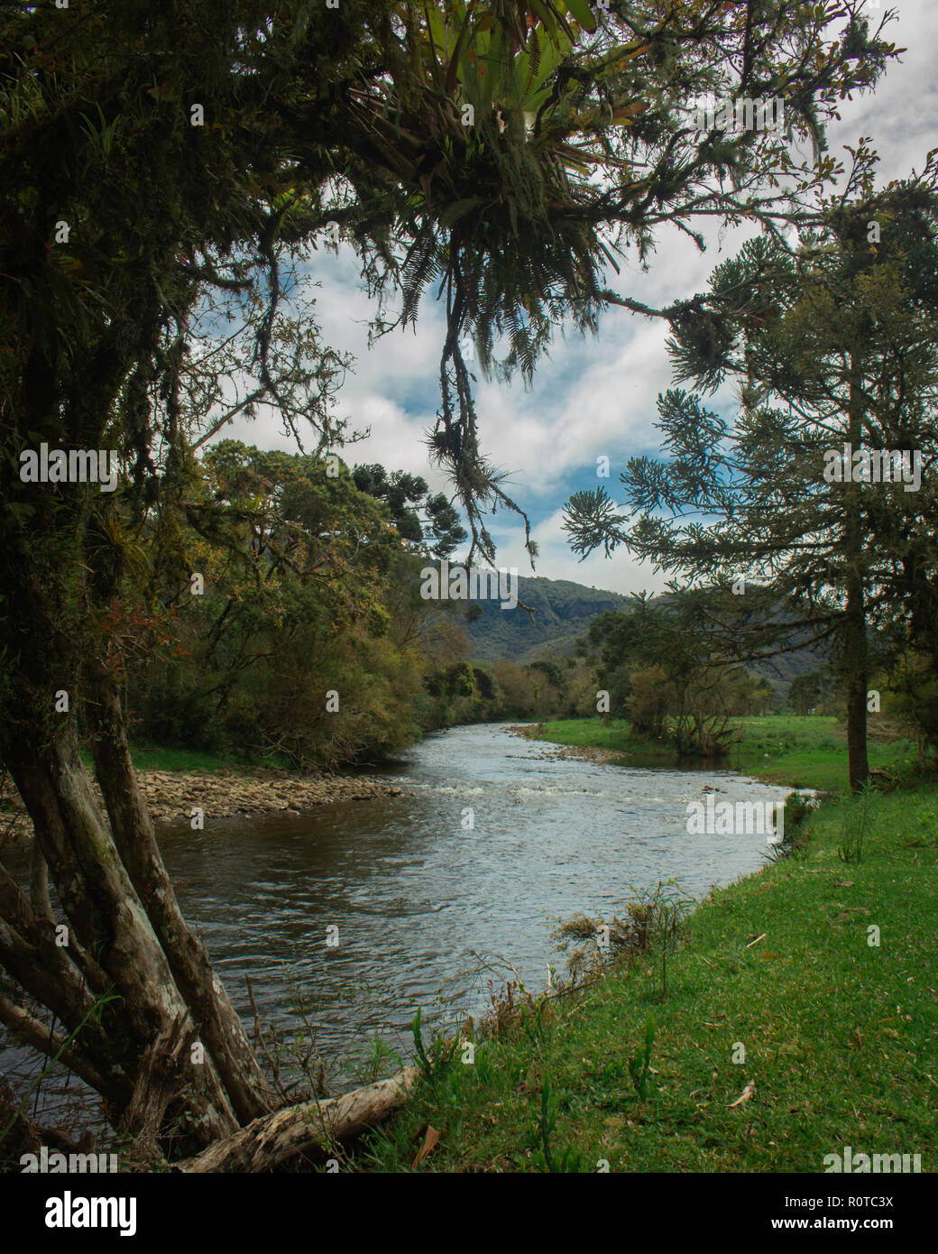 Rivière qui coule le long de jungle et beau paysage Banque D'Images