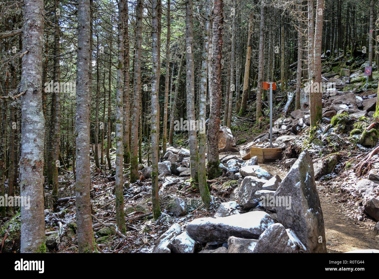 Parc National du Mont Mégantic , province du Québec, Canada Banque D'Images