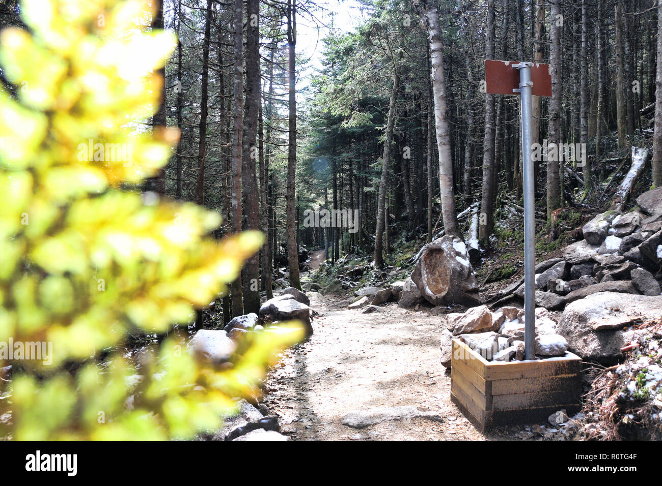 Parc National du Mont Mégantic , province du Québec, Canada Banque D'Images