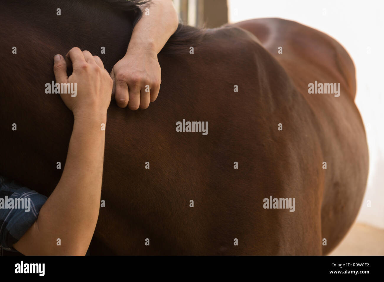 Femme de caresser à cheval stable Banque D'Images