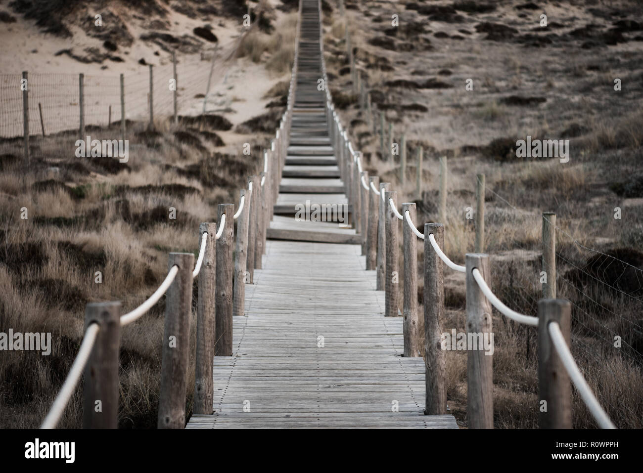 Promenade en bois délabrées et essuyé avec corde rampes menant vers la colline herbacé des dunes de sable. Profondeur de champ à blur Banque D'Images