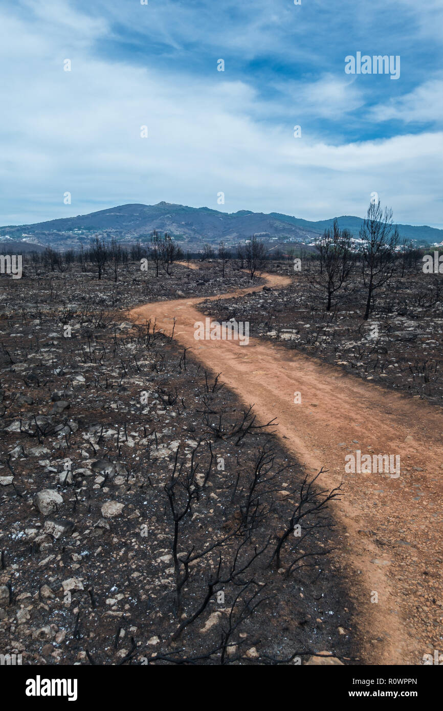 Guincho, Portugal - 25 octobre, 2018 : une terre de sable rouge route forestière menant à travers une zone de buissons et d'arbres après le grand incendie de forêt près de Guinc Banque D'Images