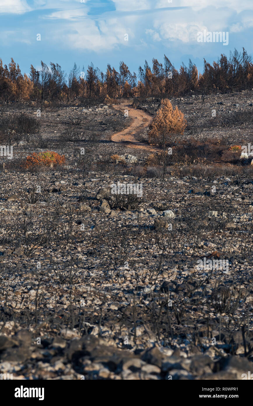 Guincho, Portugal - 26 octobre, 2018 : une terre de sable rouge route forestière menant à travers une zone de buissons et d'arbres après grande envergure avec un rem Banque D'Images