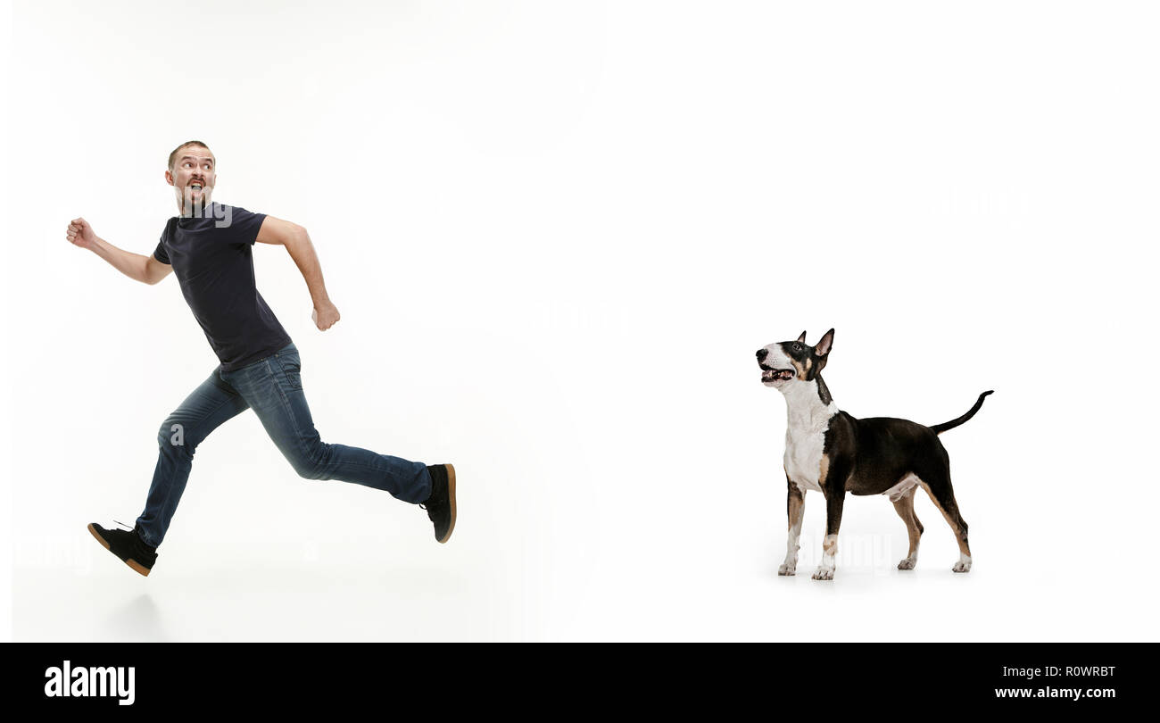 Portrait psychologique de peur l'homme et son chien, le concept d'amitié et de soins de l'homme et l'animal. Chien de type bull-terrier blanc sur fond de studio Banque D'Images