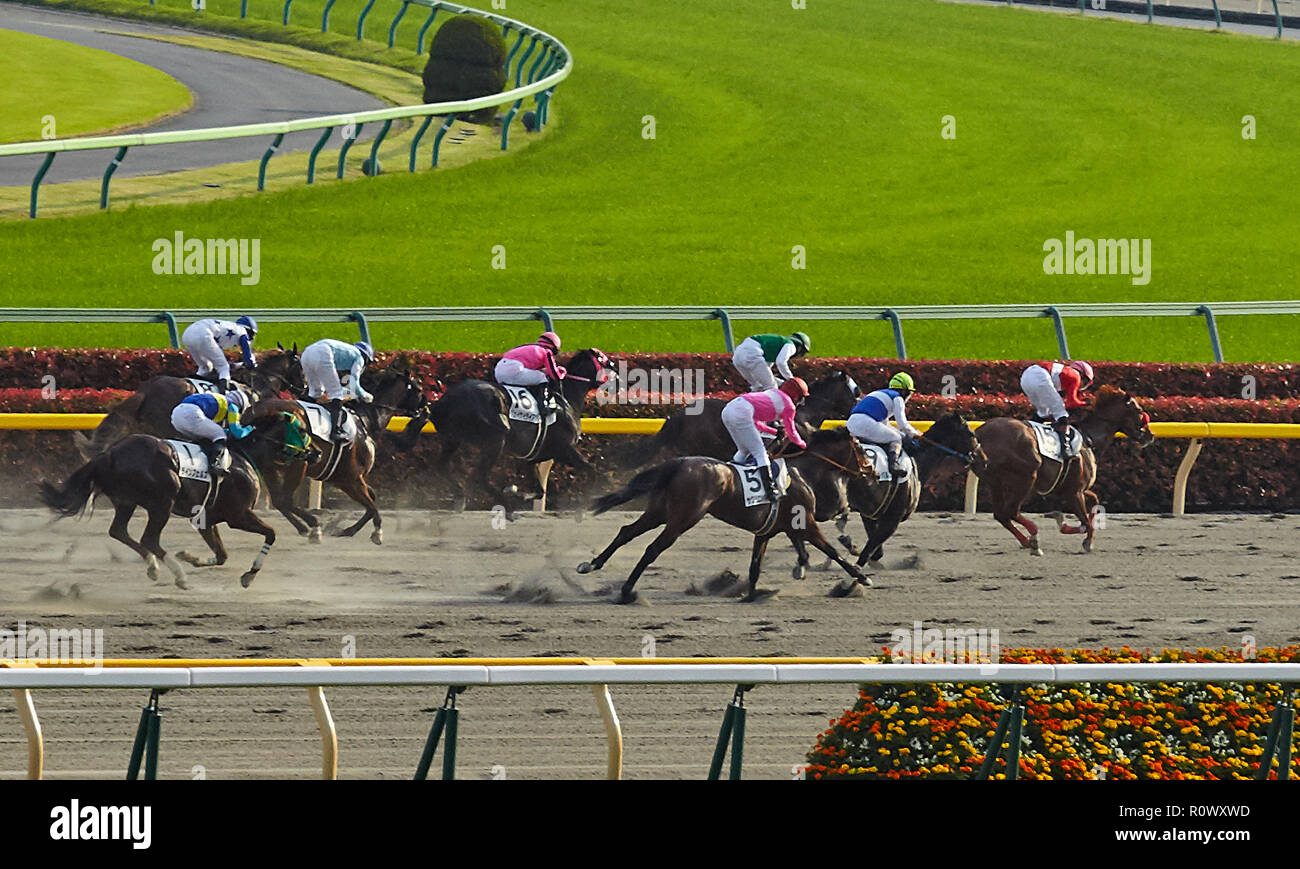 Tokyo, Japon.Avril 2018 Hippodrome de Tokyo.Chevaux pur-sang en mouvement avec jockeys à la ligne d'arrivée des courses . Banque D'Images