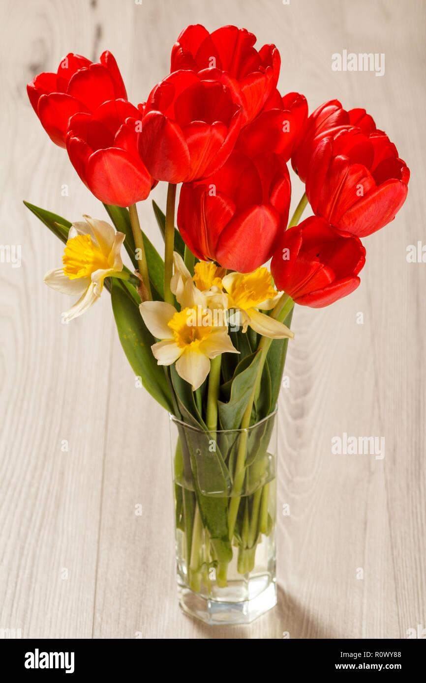 Bouquet de tulipes rouges et jaunes jonquilles en vase en verre sur un bureau en bois gris Banque D'Images