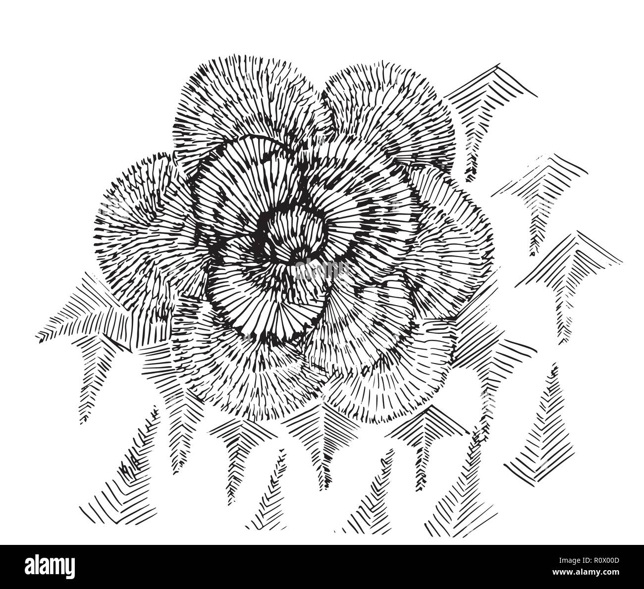 Illustration noir et blanc de fleurs psychédéliques. Illustration de Vecteur