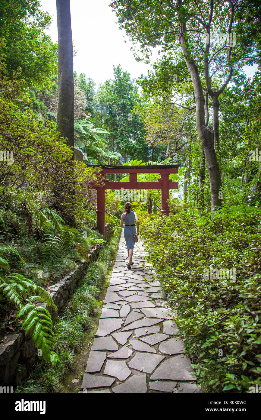 Torii en Monte Palace Jardin Tropican à Funchal, Madère, Portugal Banque D'Images