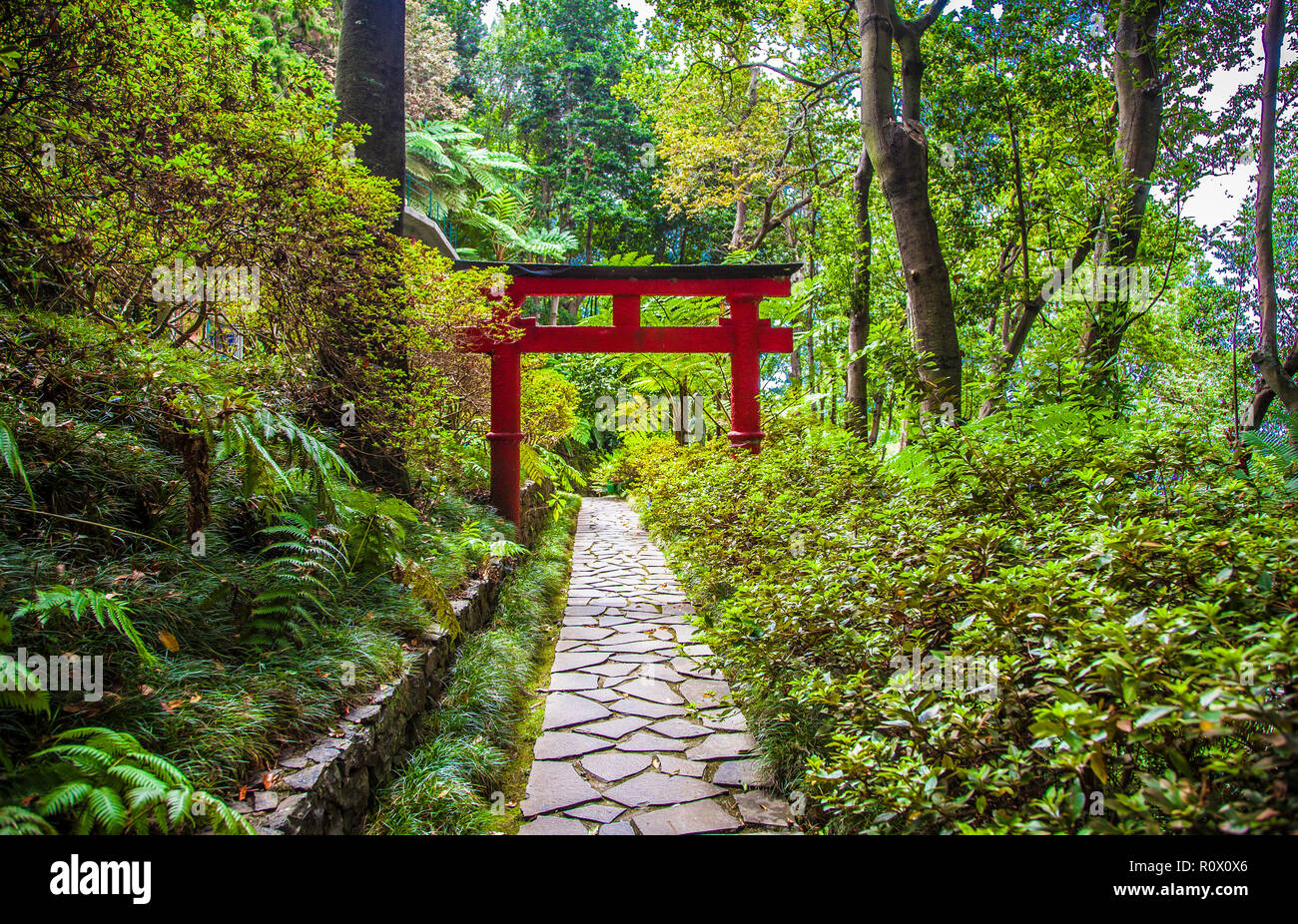 Torii en Monte Palace Jardin Tropican à Funchal, Madère, Portugal Banque D'Images