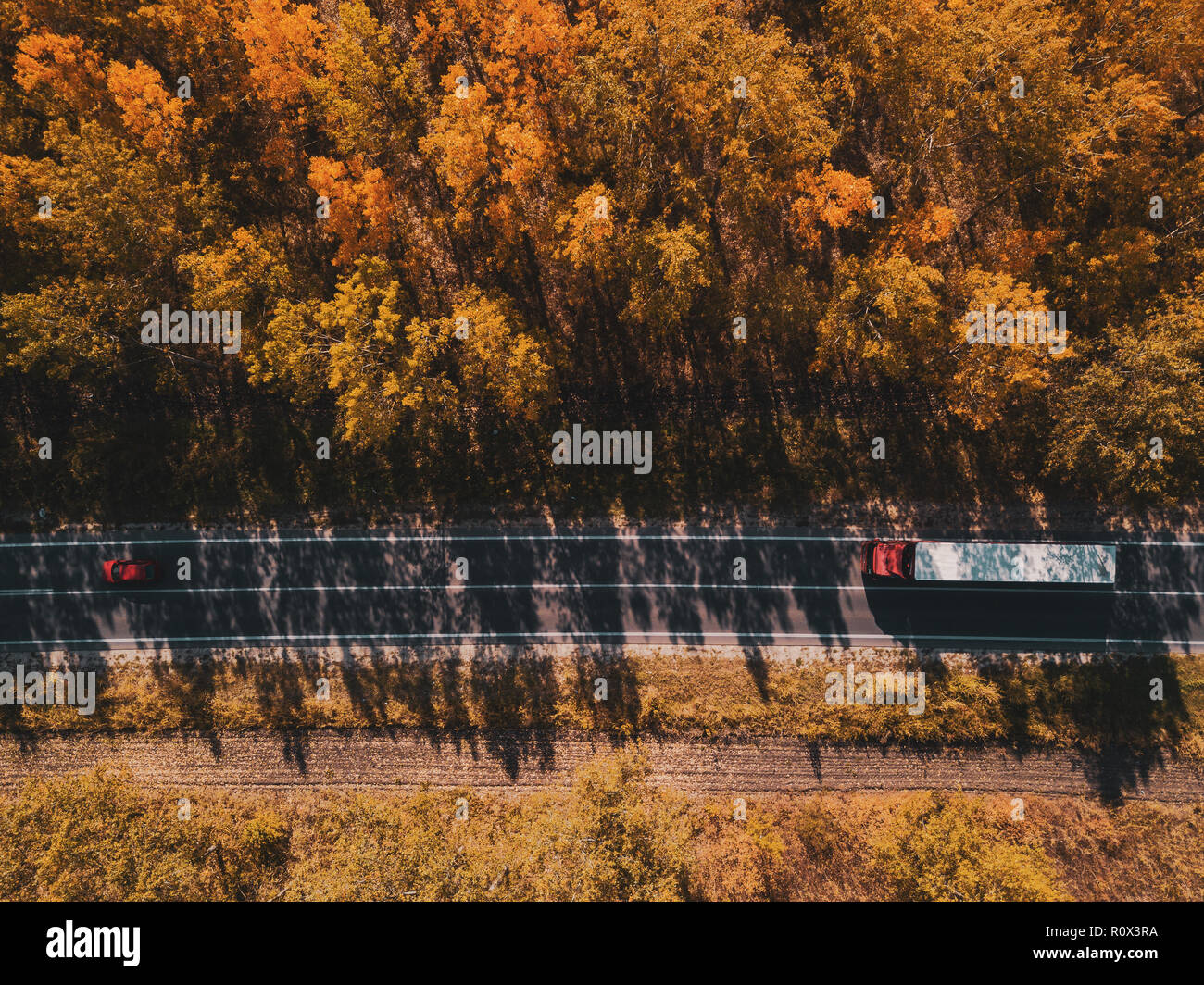 Vue aérienne de voiture et camion sur route à travers forêt en automne, drone point de vue directement au-dessus Banque D'Images