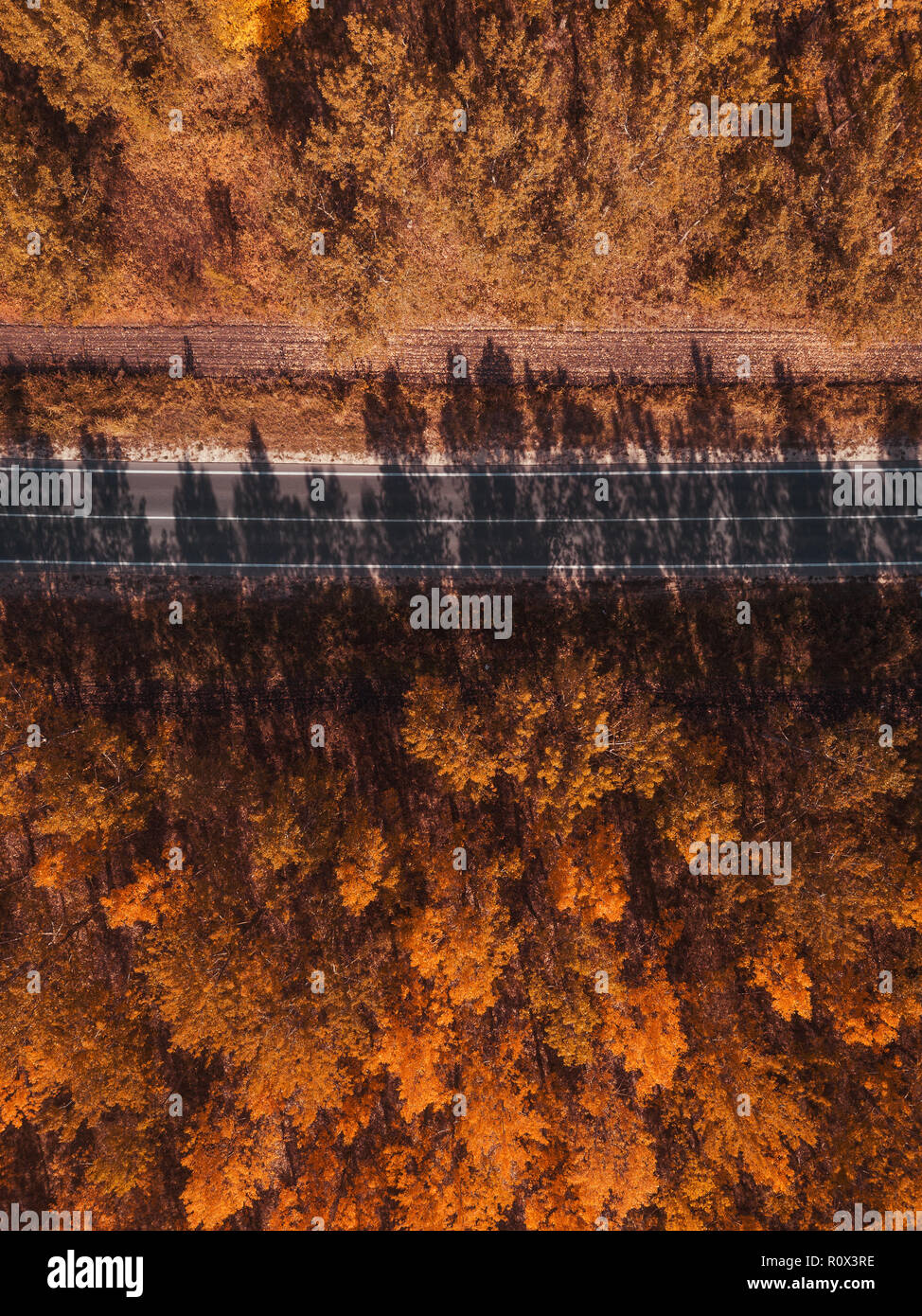 Vue aérienne de route vide à travers forêt en automne, l'été indien décor de point de vue de drones Banque D'Images