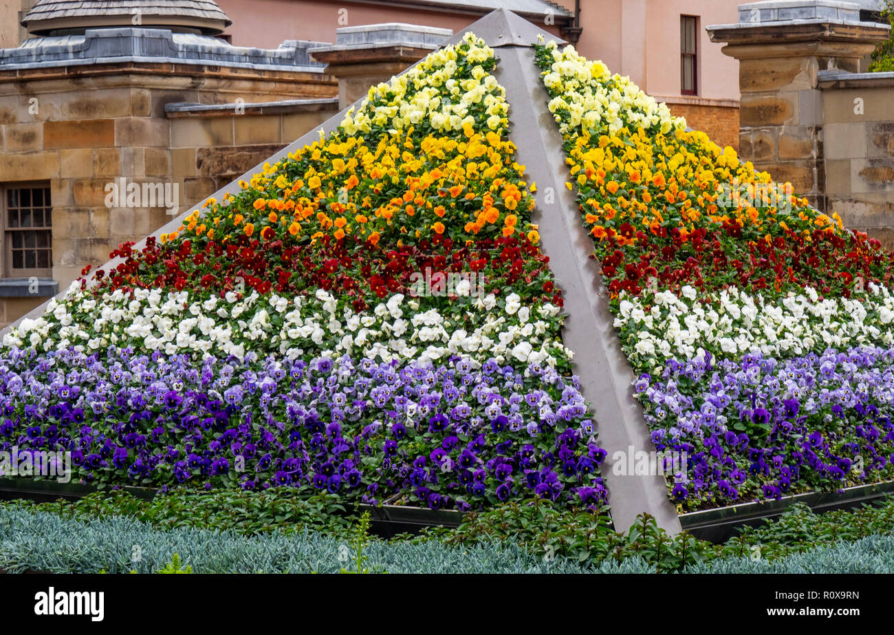 En forme de pyramide lit de fleur de Macquarie Street en face de Hyde Park Barracks Museum Sydney NSW Australie. Banque D'Images