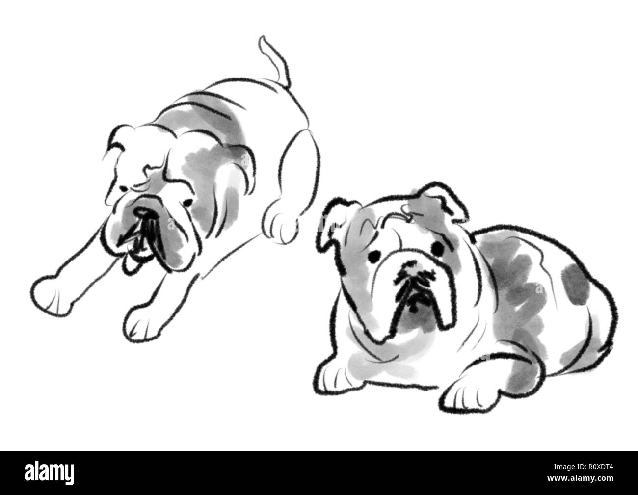 Assortiment de mignon dans bulldogs une illustration dans un style art gestuel Banque D'Images
