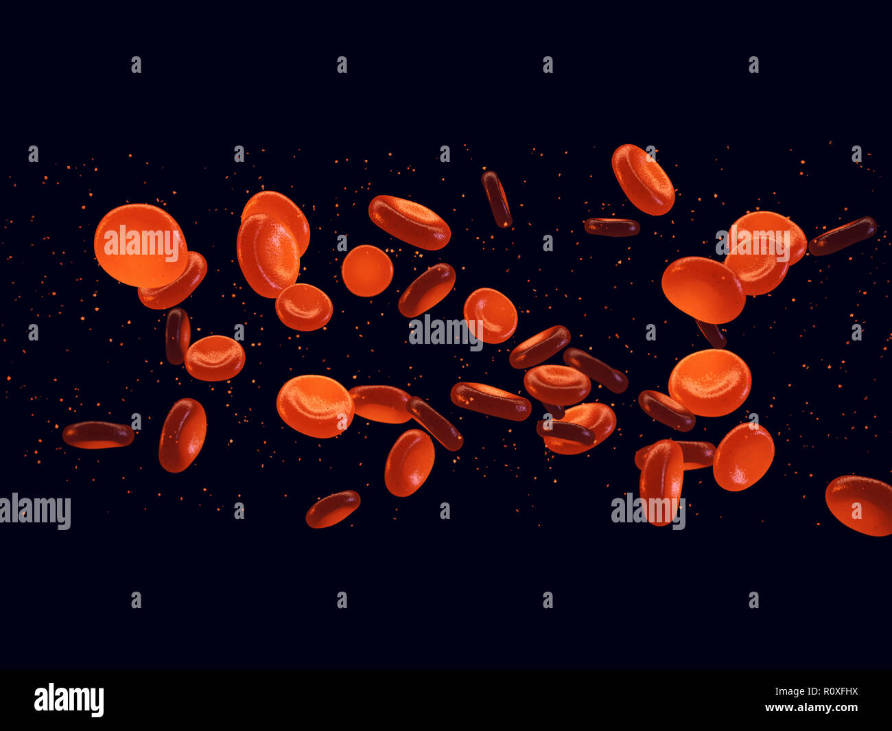 Les cellules rouges du sang, transfusion de sang et don Banque D'Images