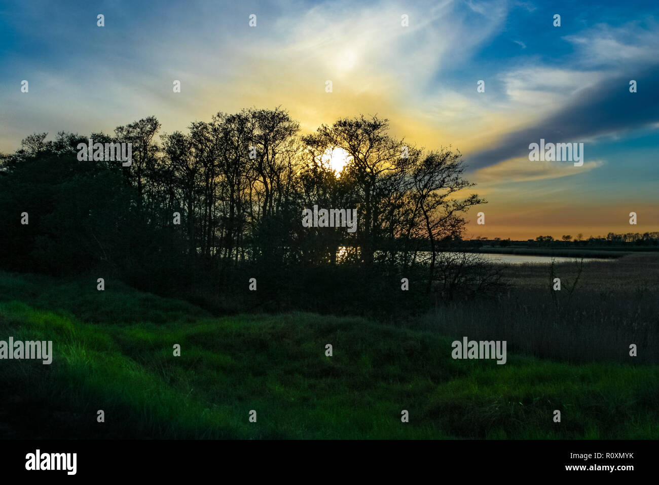 Vue magnifique sur le paysage du soleil derrière une rangée d'arbres avec un étang. La lumière du soleil est de donner un aperçu sur l'herbe verte fraîche sous un... Banque D'Images