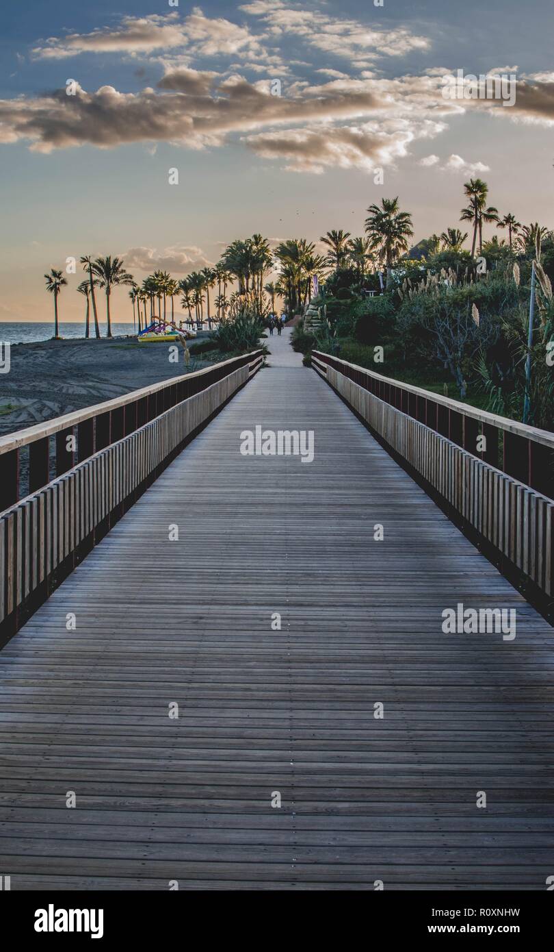 Marche à travers le pont de bois entre les paysages exotiques de palmiers au coucher du soleil Banque D'Images