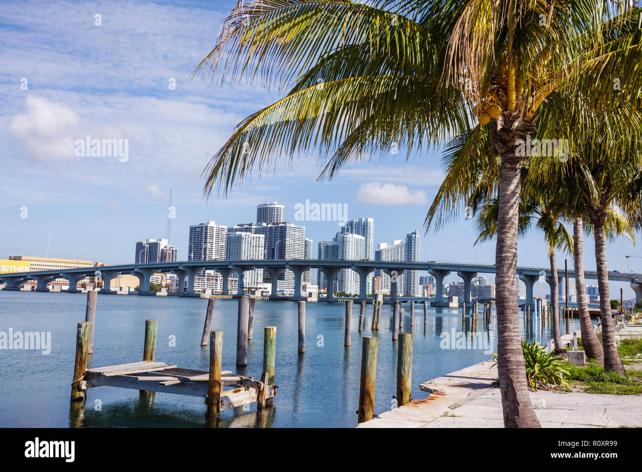 Miami Florida,Watson Island,Biscayne Bay,MacArthur Causeway,palmier,pont,horizon de la ville,bâtiments,horizon de la ville,condominiums,gratte-ciel de hauteur élevée s Banque D'Images