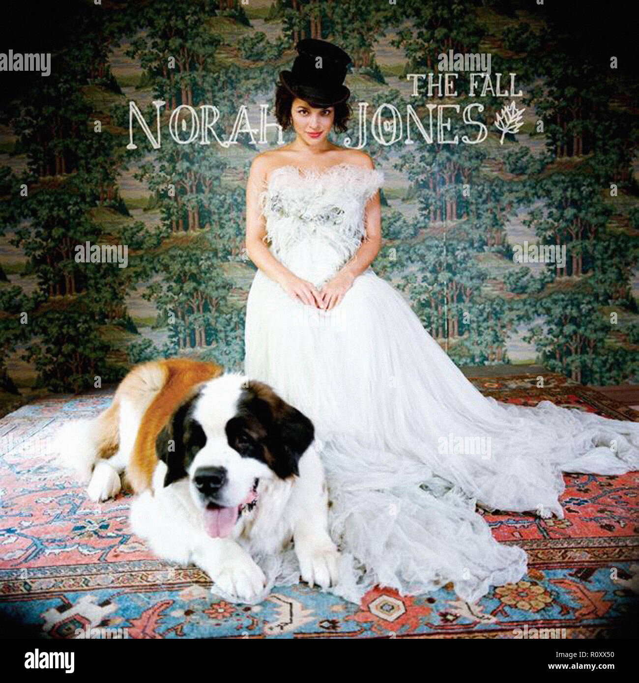 L'automne - Norah Jones - Vintage album Banque D'Images