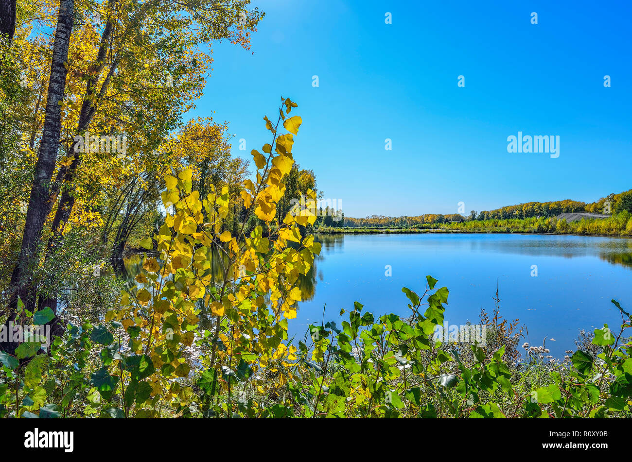 Septembre ensoleillé chaud paysage sur la rive du lac. Ciel bleu et feuillage doré d'arbres se reflétant dans la surface de l'eau - beauté de l'automne nature Banque D'Images