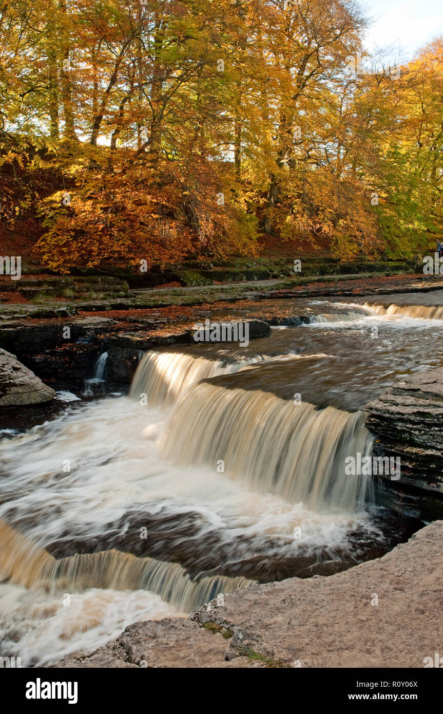 Aysgarth tombent dans le Yorkshire Dales National Park Banque D'Images