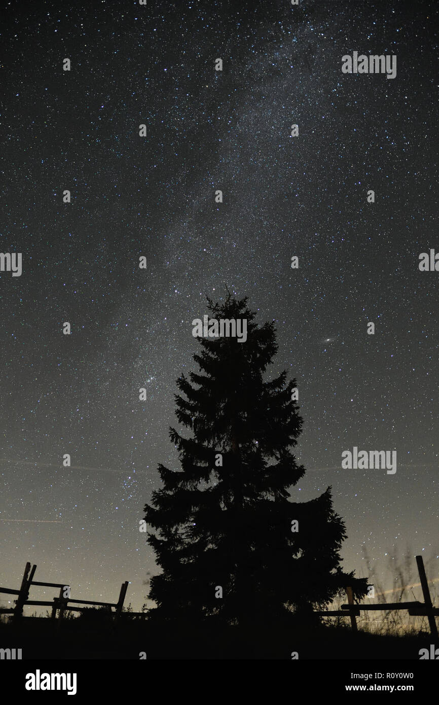 Dans la forêt noire Nightsky national park en août Banque D'Images