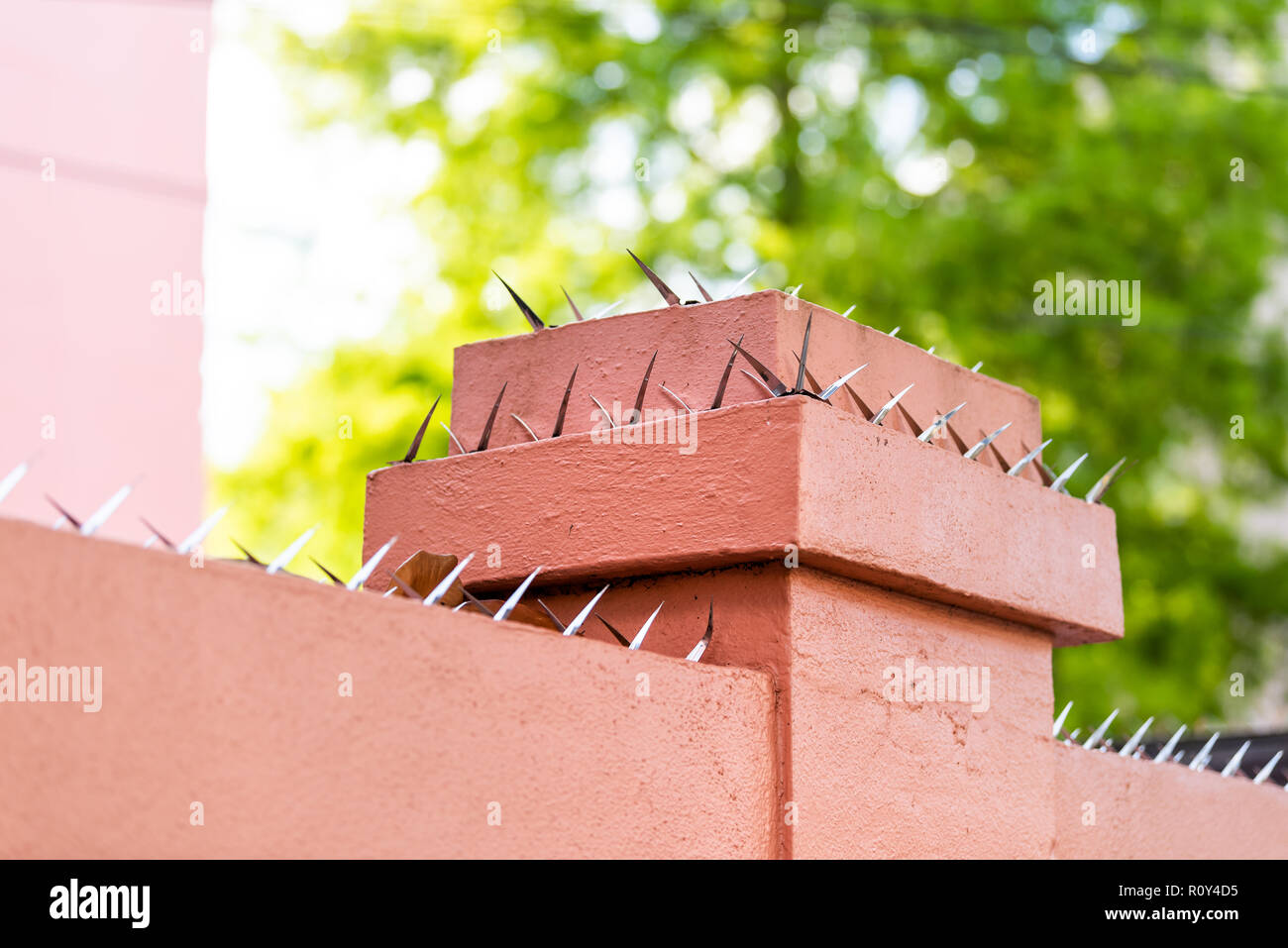 Gros plan du metal sharp barbelé épines sur rose maison clôture pour la protection de la sécurité, de la sûreté Banque D'Images